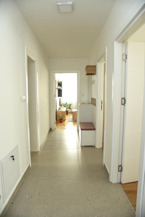 Suncokret Apartmani 洛兹尼察 外观 照片